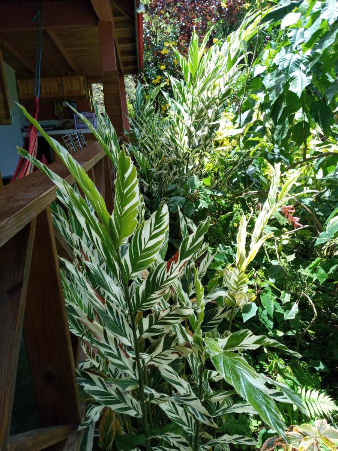 Berkey's Jungle Paradise