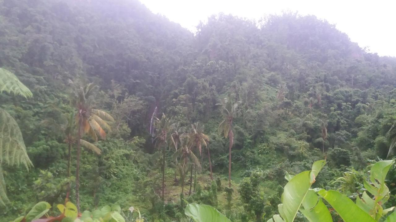 Holiday home Berkey's Jungle Paradise