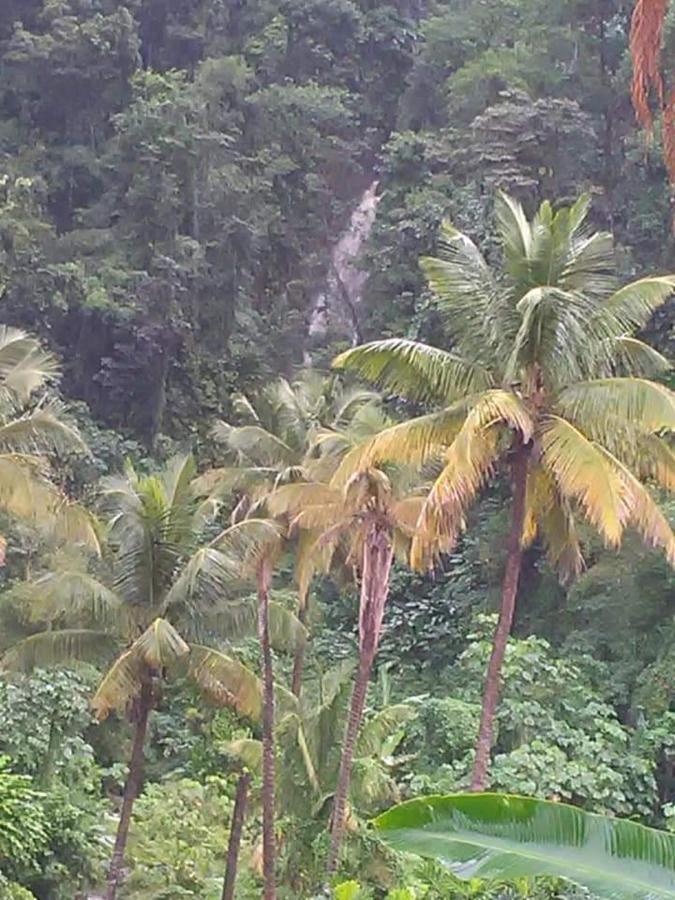 Holiday home Berkey's Jungle Paradise Roseau