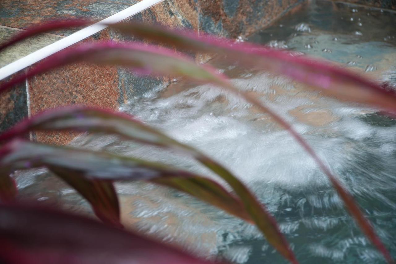 Bel'oasis