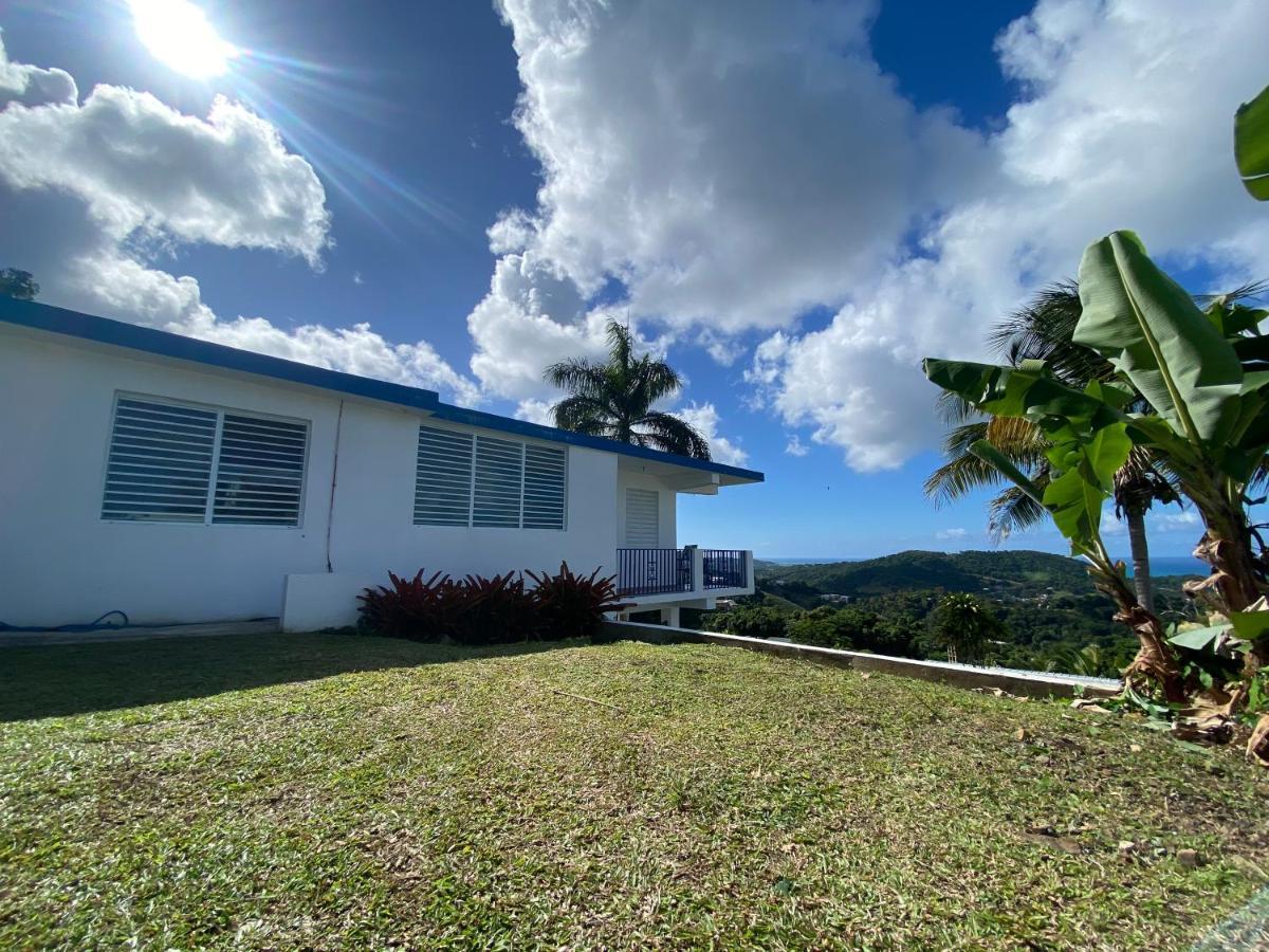 Million Dollar View In Puerto Rico Lodge