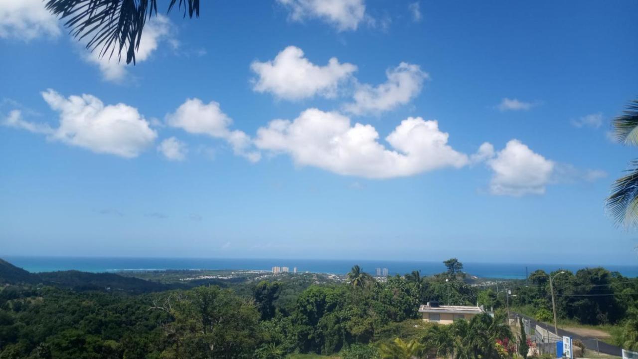 Million Dollar View In Puerto Rico Lodge *