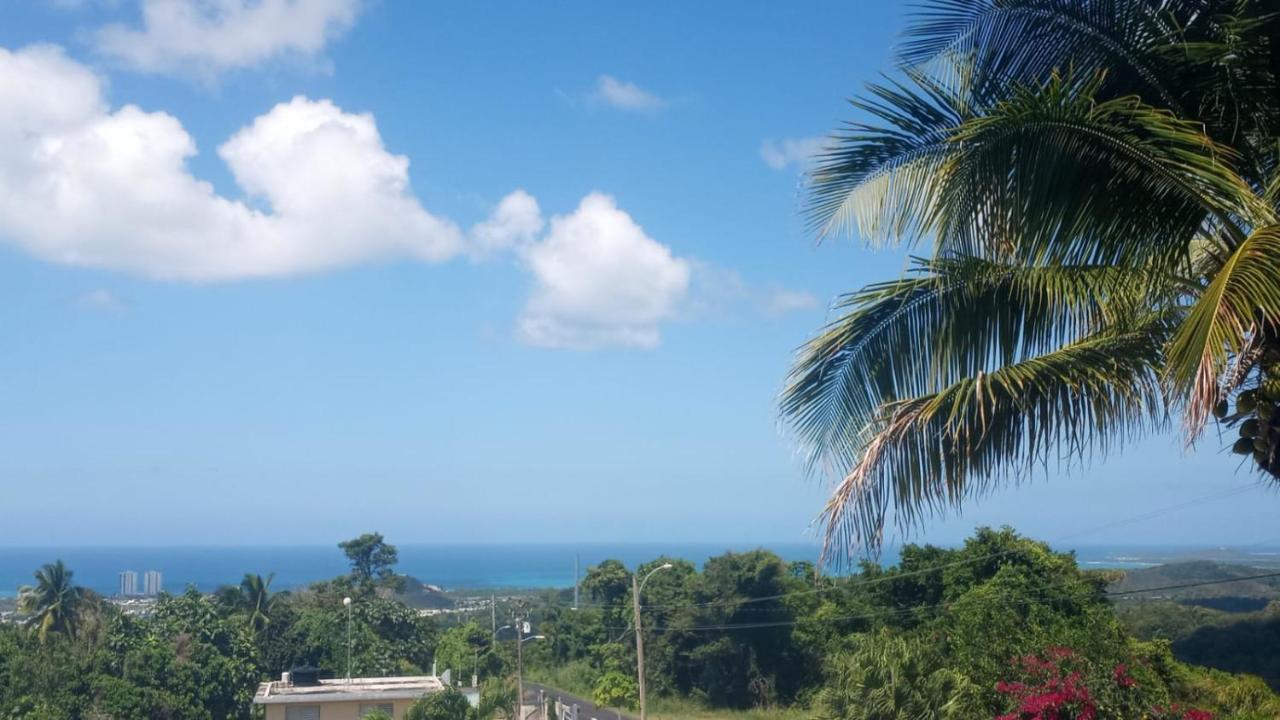 Lodge Million Dollar View In Puerto Rico Luquillo
