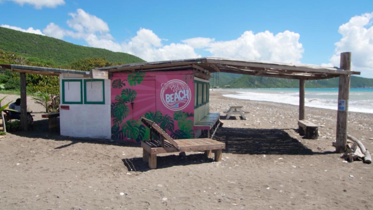 876 Ja Oasis & - By Airport * Kingston