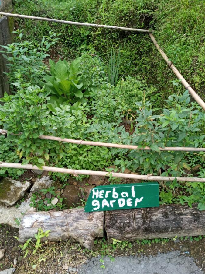 Berkey's Jungle Paradise Holiday home Roseau