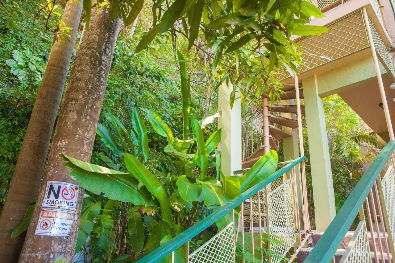 Caribic House 2*