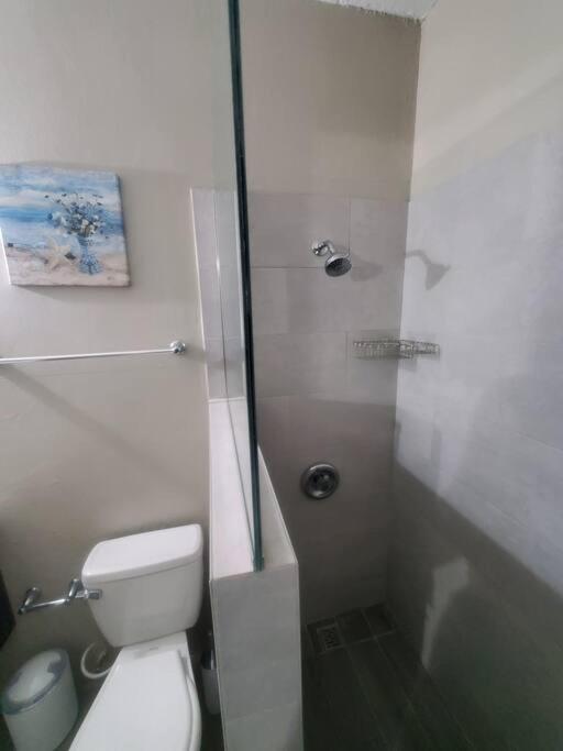 Modern At The Worthington Apartment Kingston