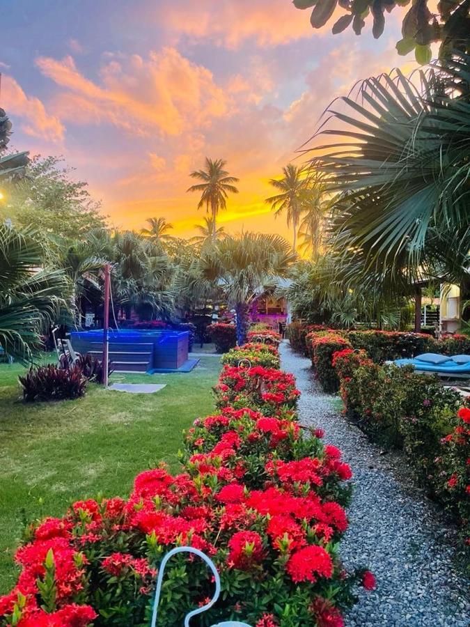 21 Palms 3* Las Galeras