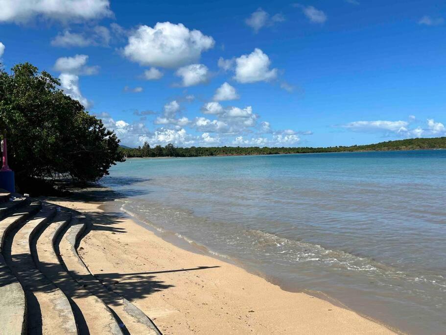 Casa Rosado Marina Yunque Seven Seas * Fajardo