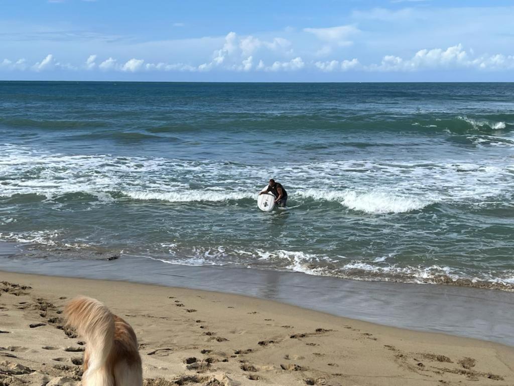 Eco De Luxe Encuentro Surf, Kite Lodge Cabarete
