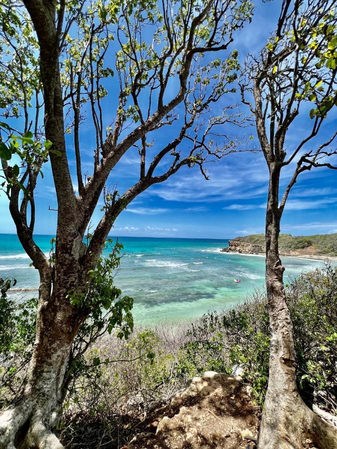 Ti Kaz Coco Douceuw Sea View * Sainte-Anne (Grande-Terre)