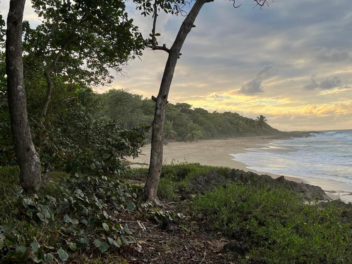 Eco De Luxe Encuentro Surf, Kite Cabarete