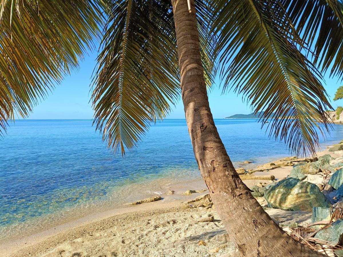 Waterside Hostel Vieques