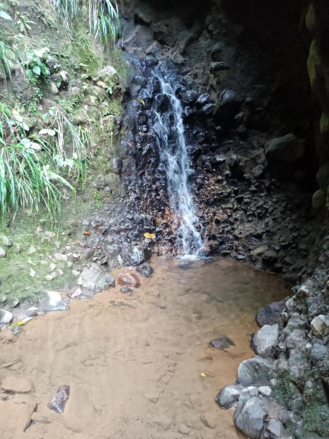 Berkey's Jungle Paradise *