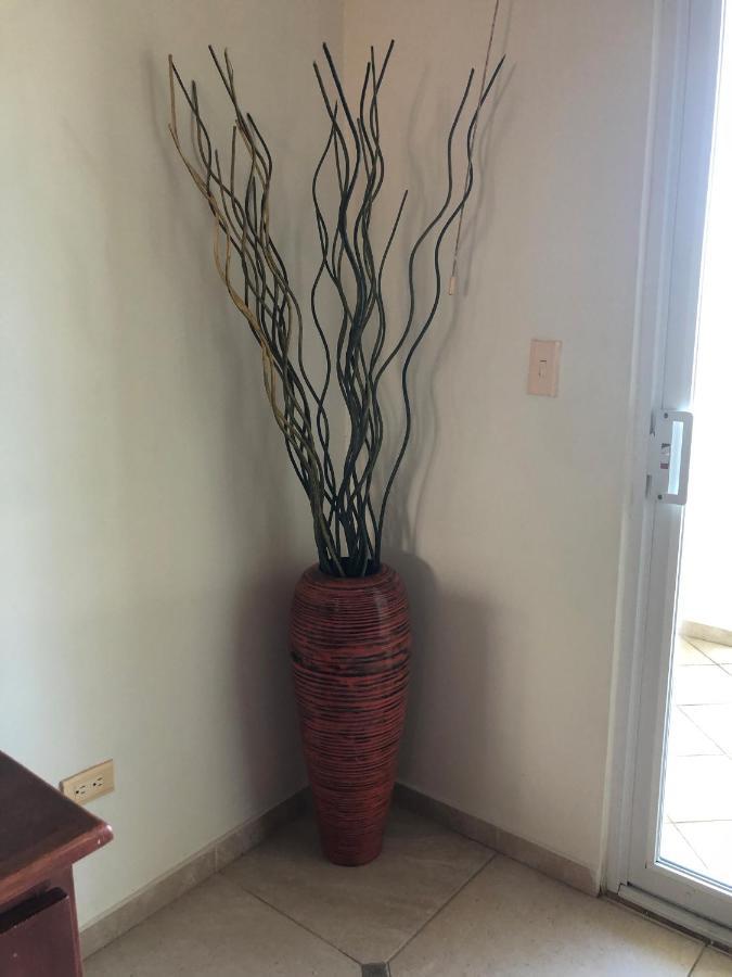 Apartment Agualina Kite Oceanfront Cabarete