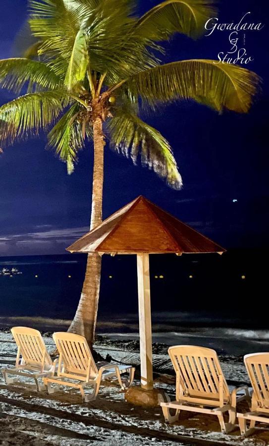 Acces Direct Plage, Vue D'exception, Les Gwada Studios, Village * Sainte-Anne (Grande-Terre)