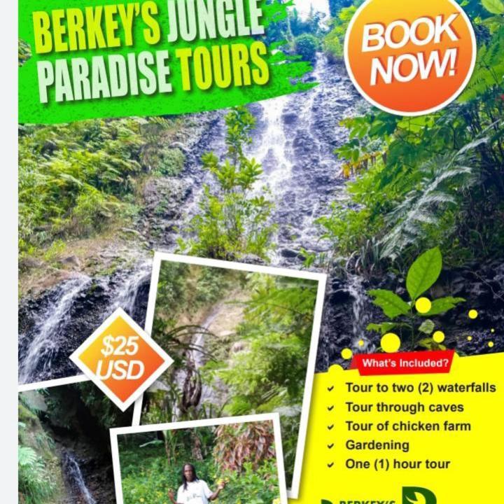 Holiday home Berkey's Jungle Paradise Roseau