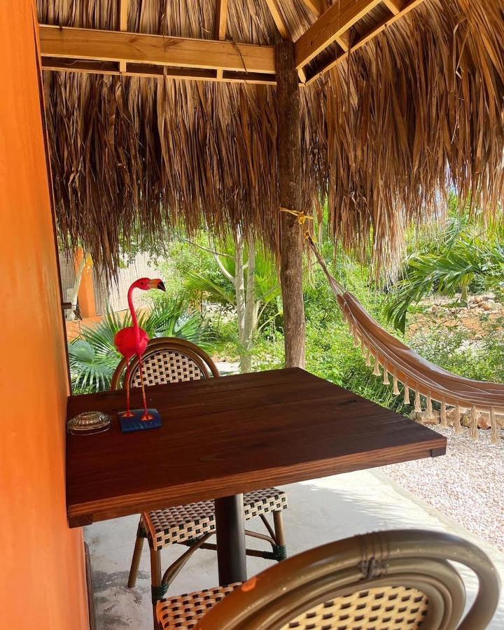The Octopus Tropical Oasis Bed & Breakfast Sint Michiel