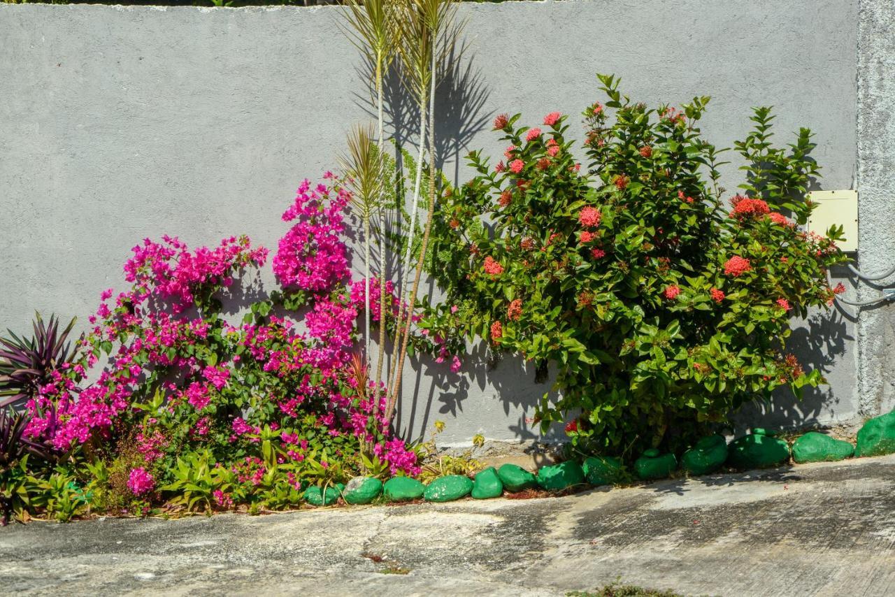 Three Palm Guest house *