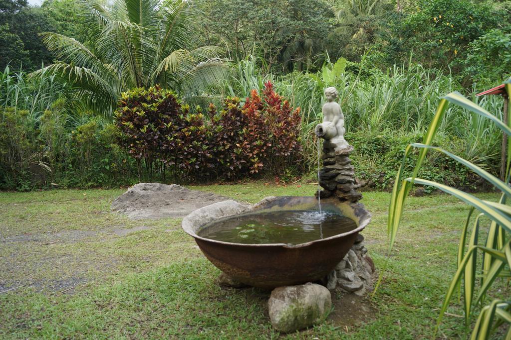 Natty Tropical Valley 2*