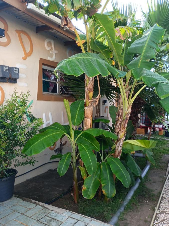 Aruba Backpackers Apartment