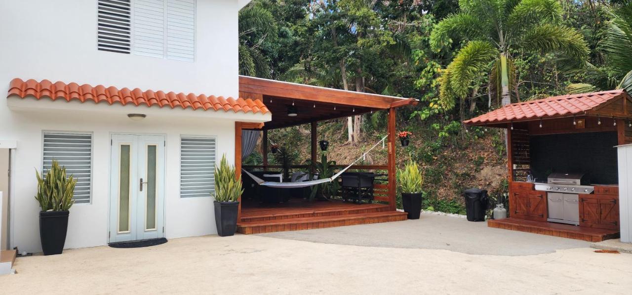 Palm's Luxury With Private Jacuzzi Aguada