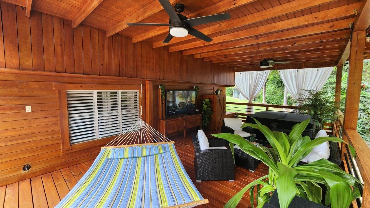 Palm's Luxury With Private Jacuzzi Aguada