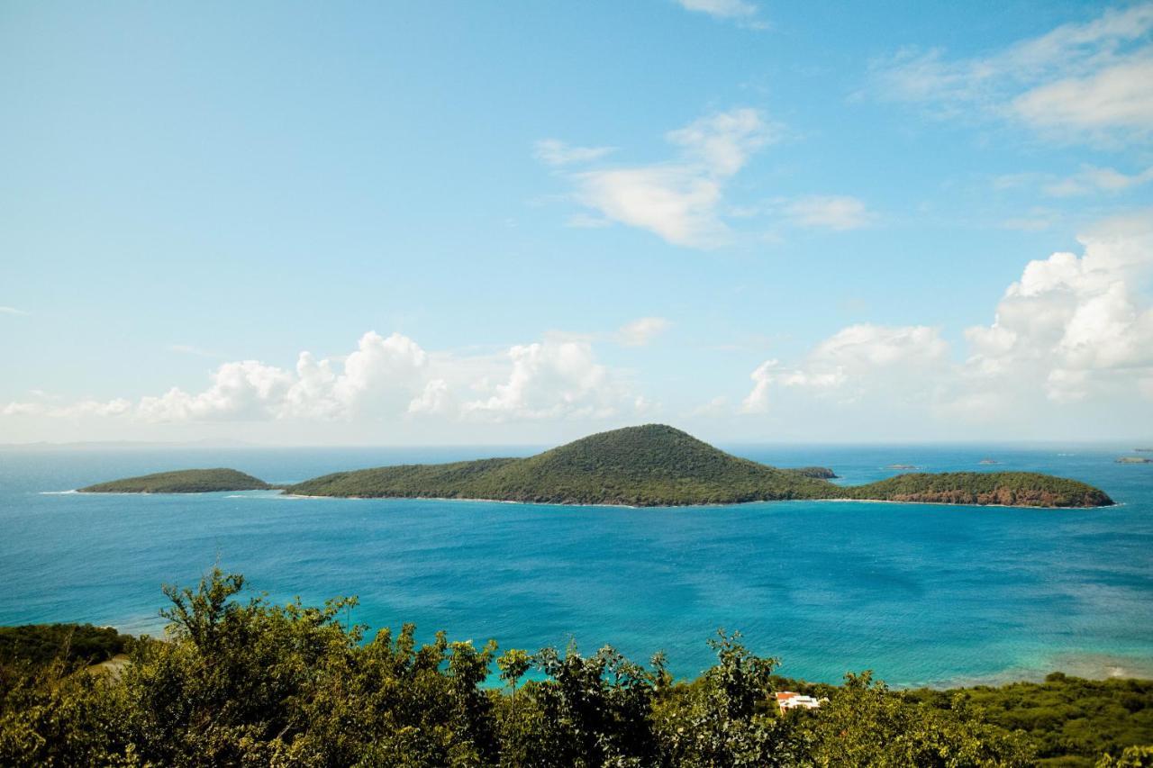 Aleli Isla Culebra