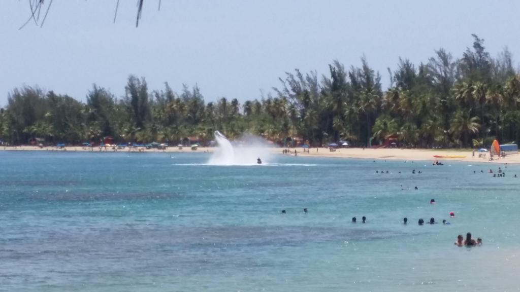 Playa Azul Ii 302 Apartamento Luquillo