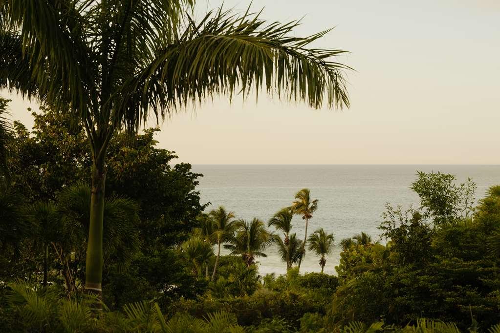 Hotel Amanera 4*