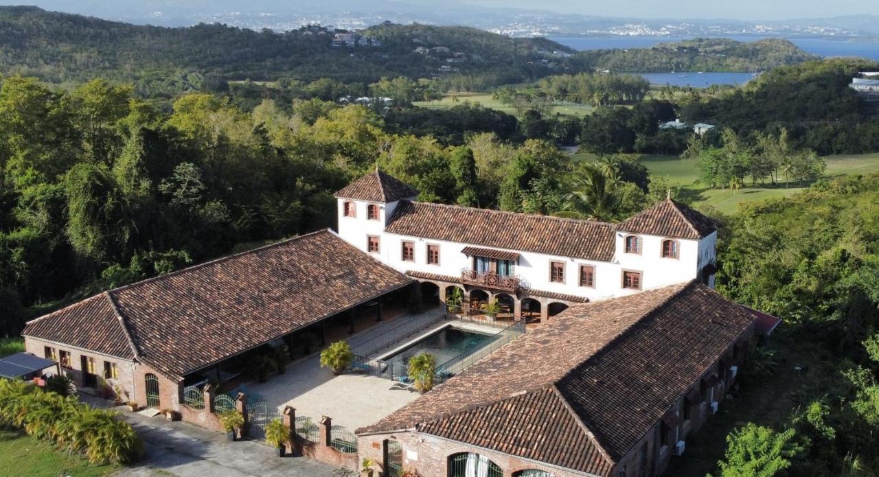 Domaine Du Chateau