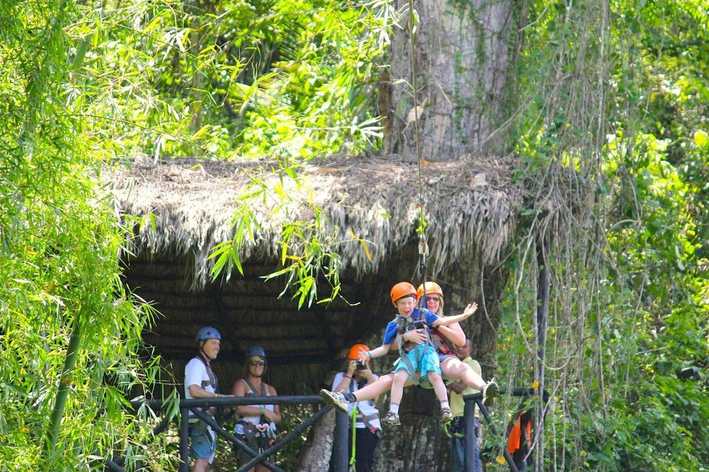 Dominican Tree House Village Alojamento
