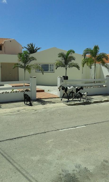 Karibu Aruba Boutique