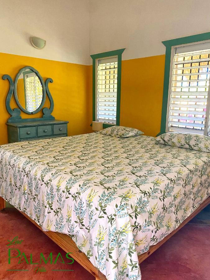 Palmas Apartment Las Galeras