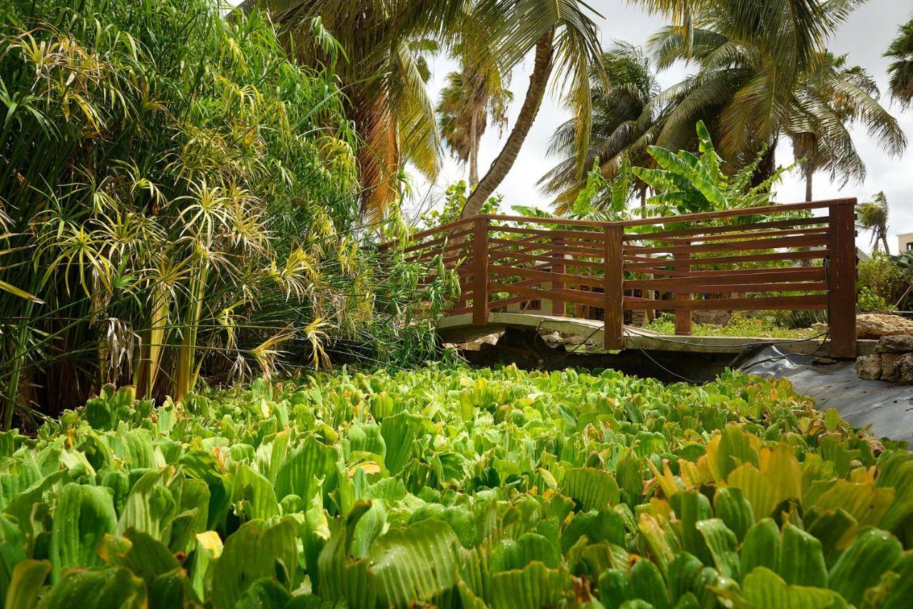 Captain Don's Habitat Hotel Kralendijk (Bonaire)