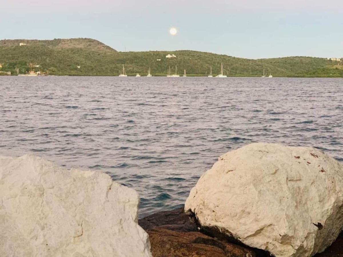 Coqui Home, Culebra