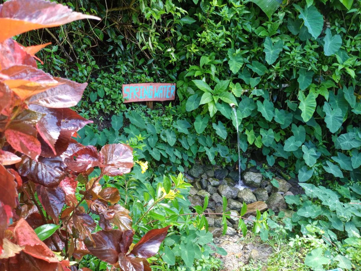 Berkey's Jungle Paradise *