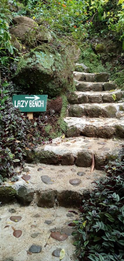 Berkey's Jungle Paradise Holiday home