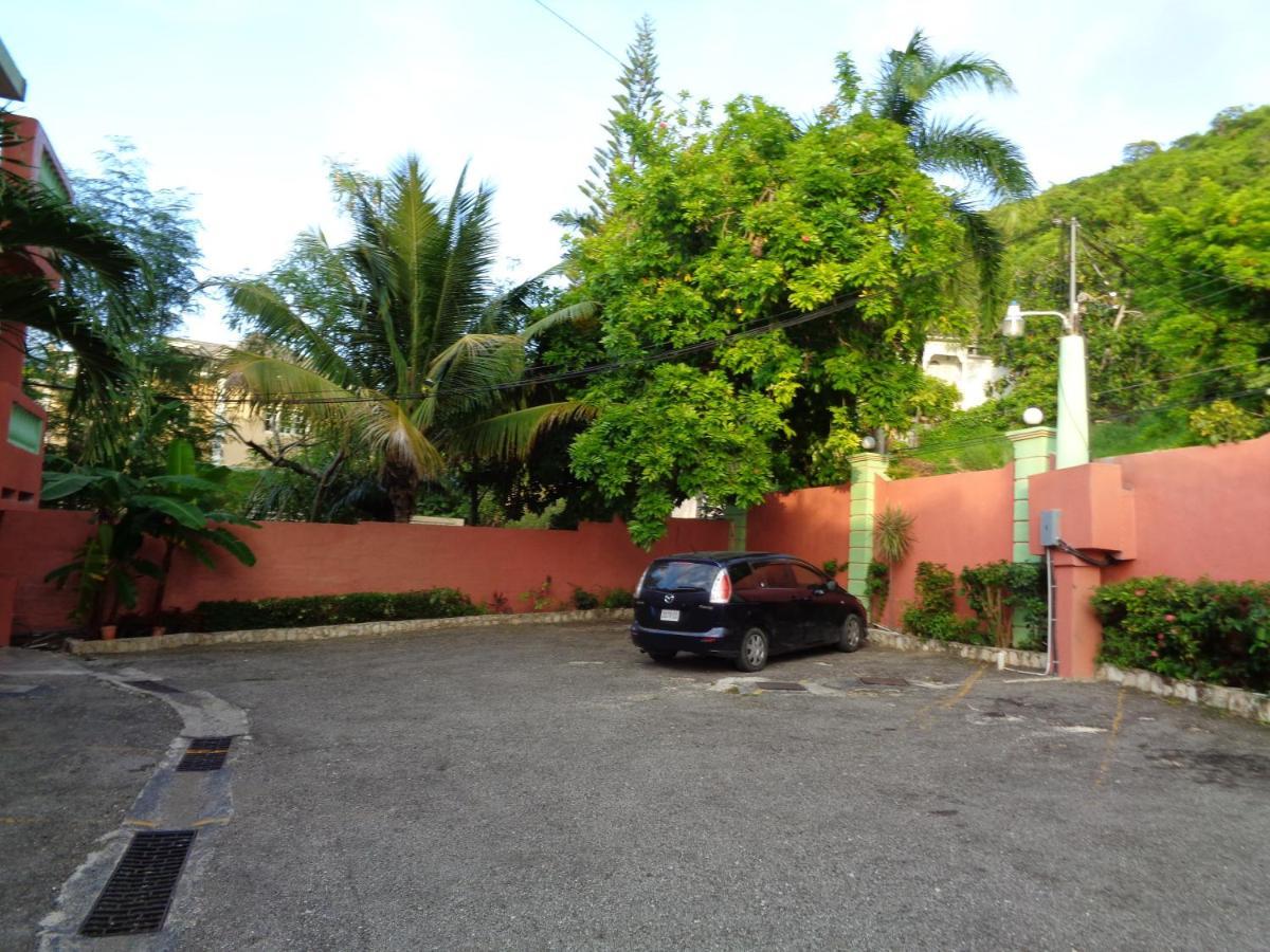 Tropical Court
