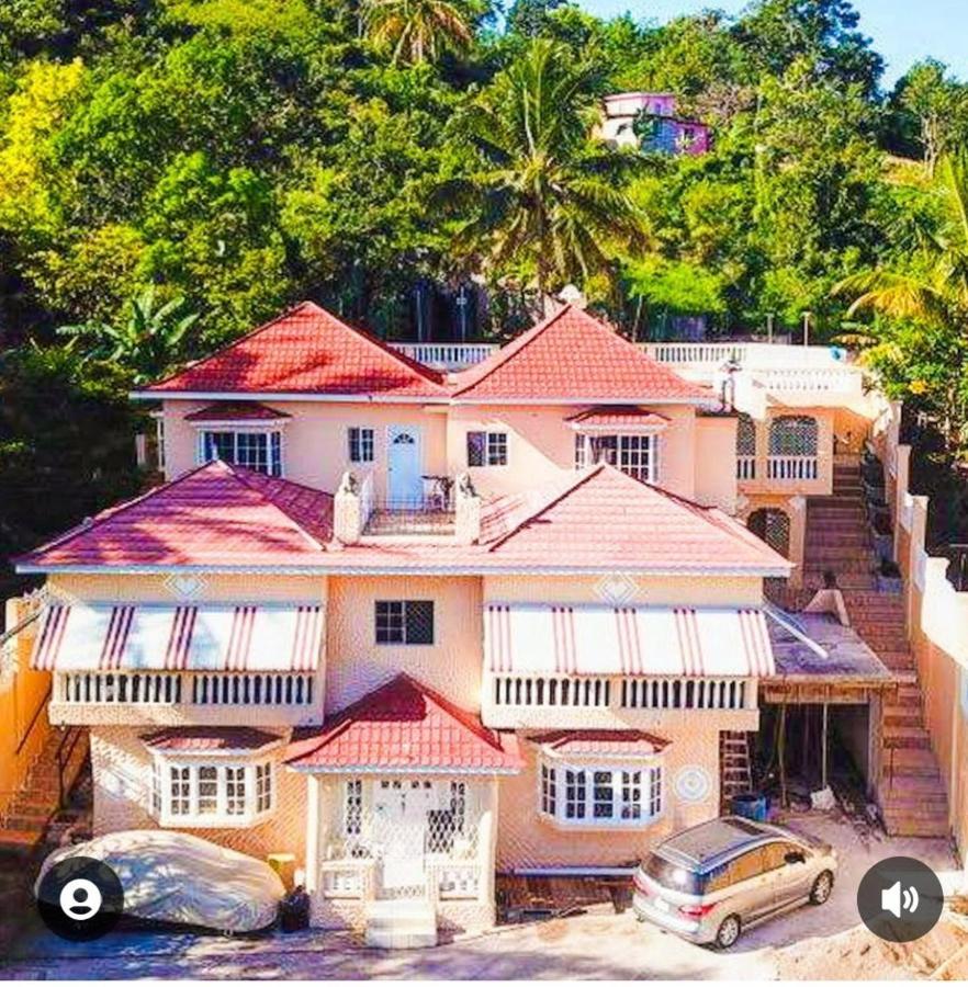 Lion's View Guest house *