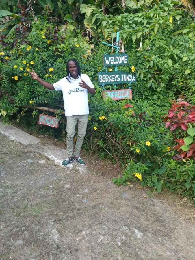 Berkey's Jungle Paradise Holiday home *