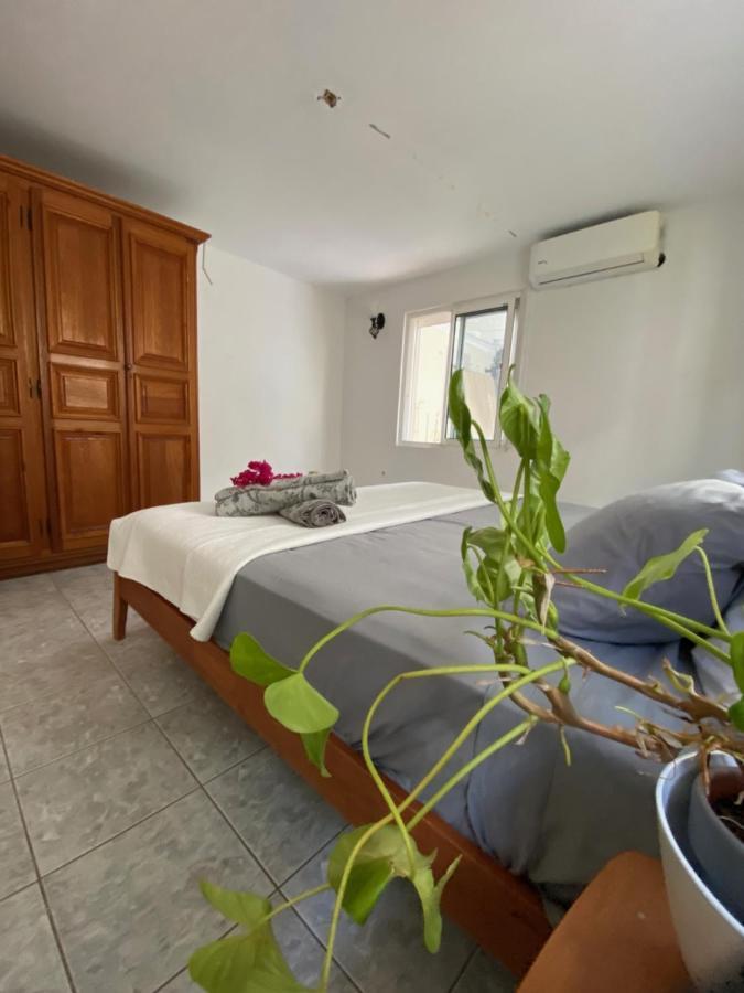 Guest house Palace *