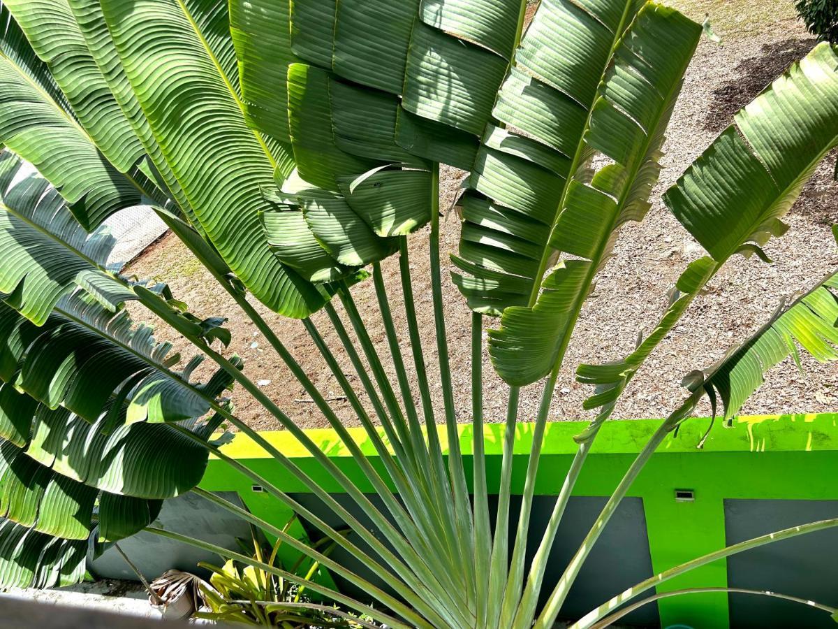 Guest house Vieques Good Vibe Guest House 4*
