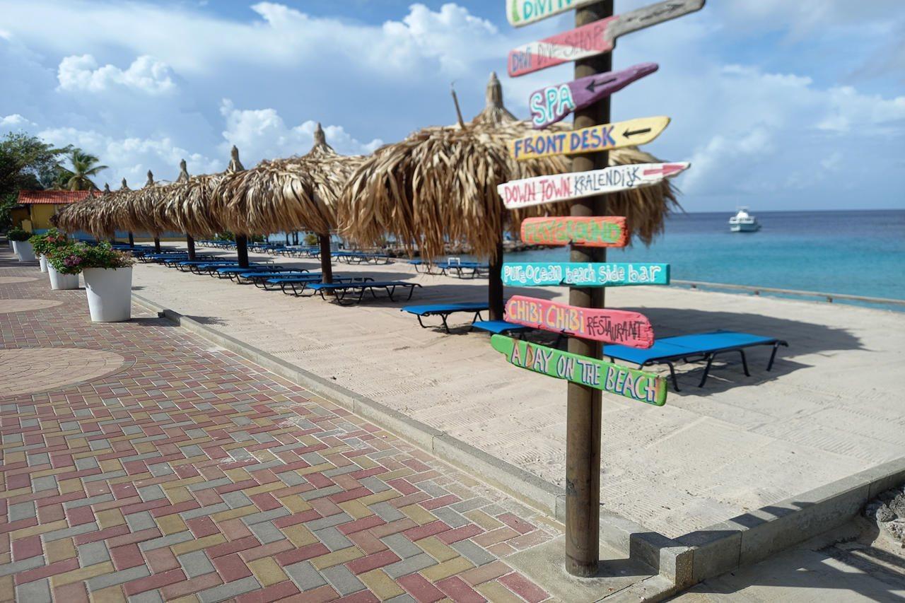 Divi Flamingo