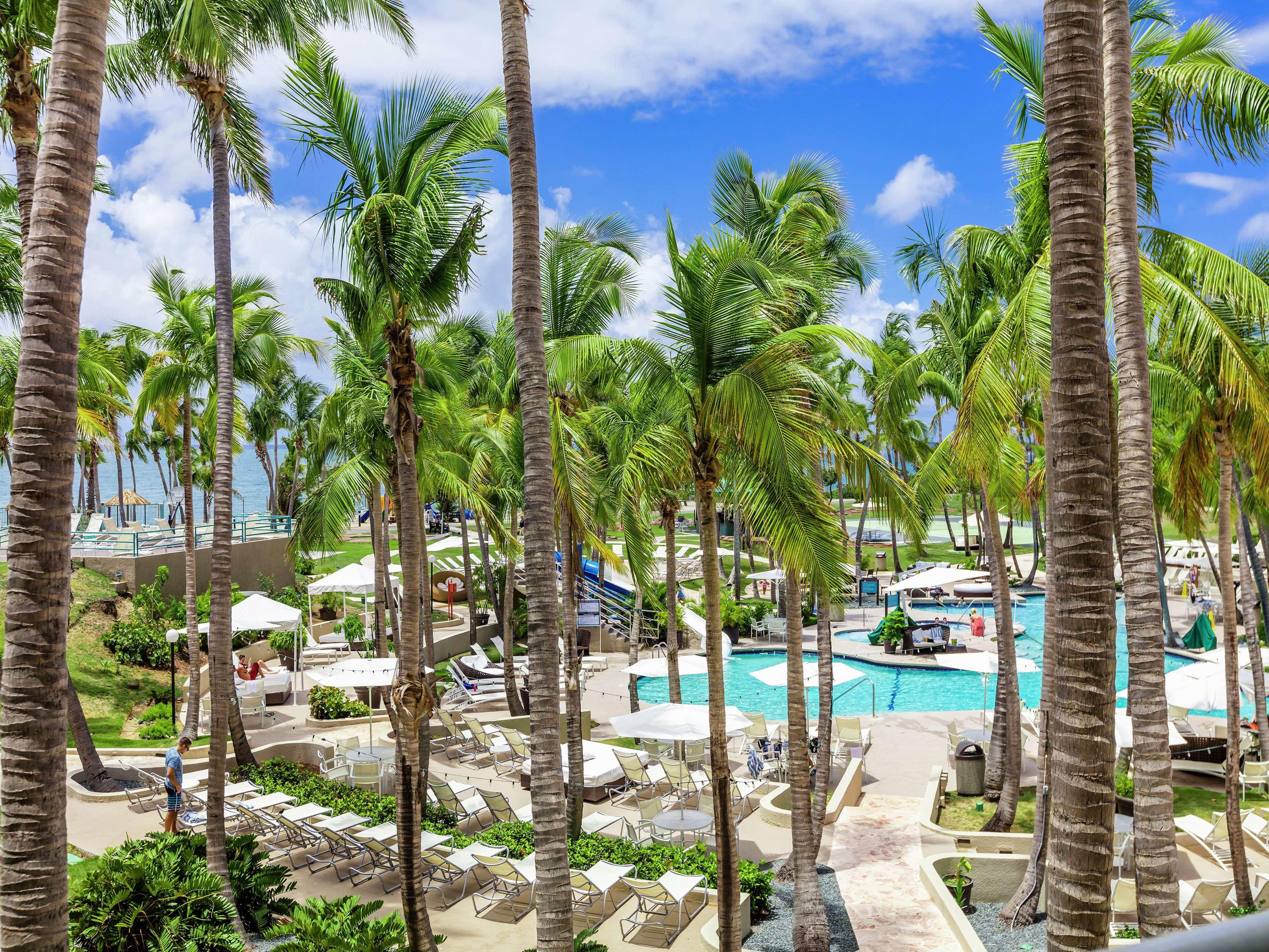 Resort Hilton Golf & Casino 3*