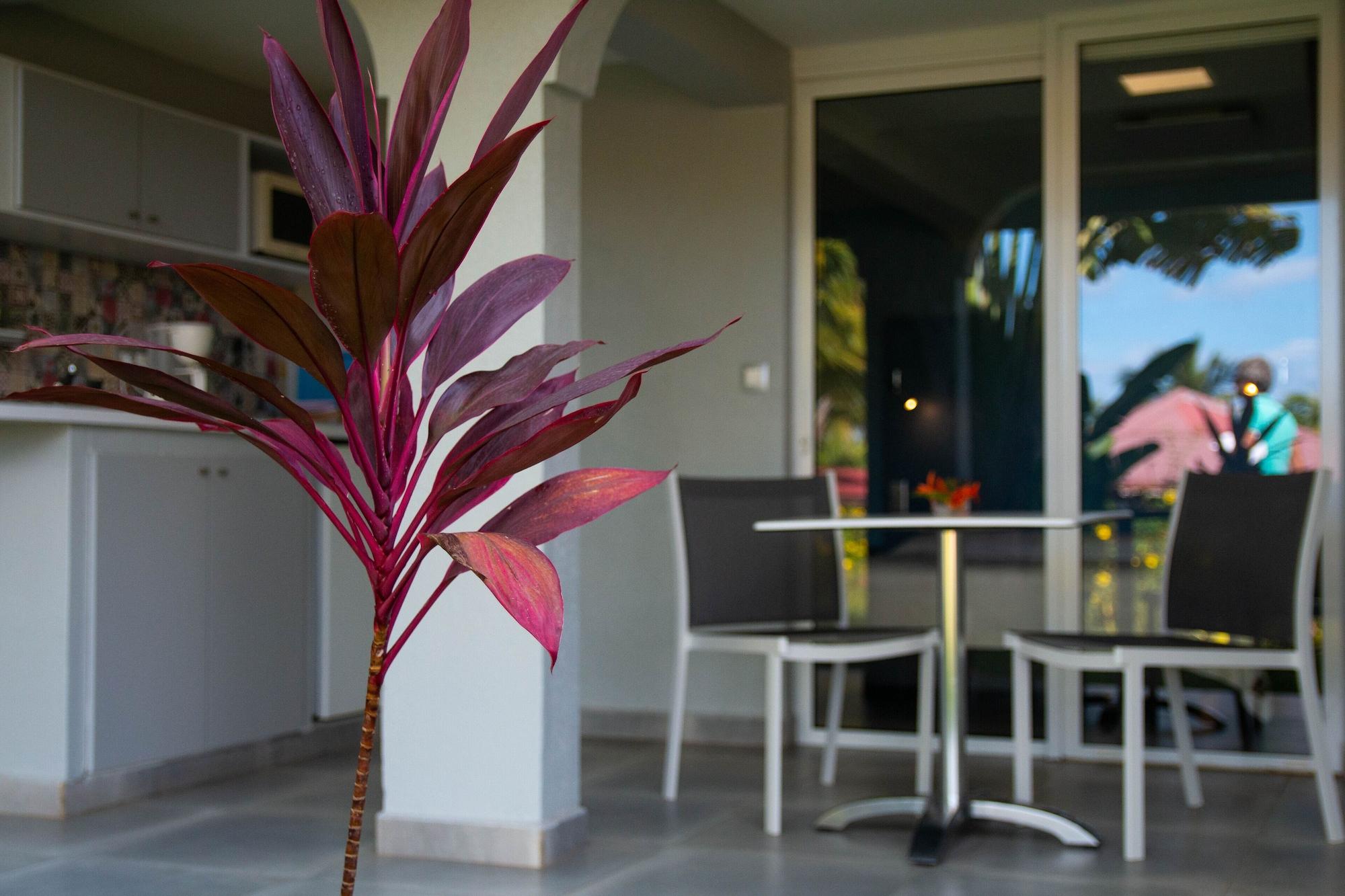 - Habitation Grande Anse 3* Deshaies
