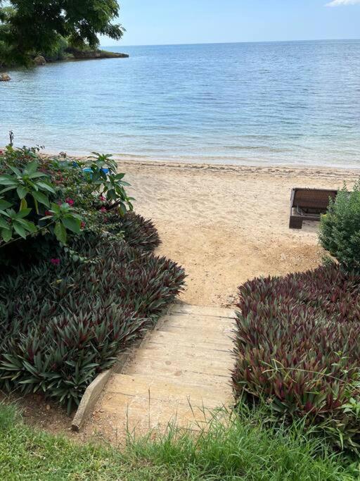Ivy's Cove Side - Luxury *