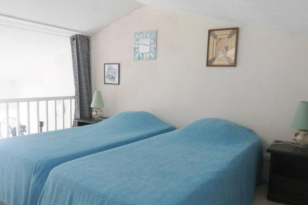 La Grand Voile - 4p -plage 150m Apartment