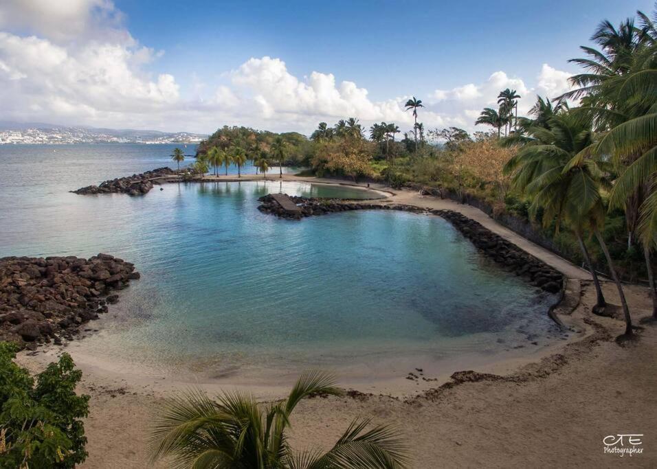 Apartment La Grand Voile - 4p -plage 150m *