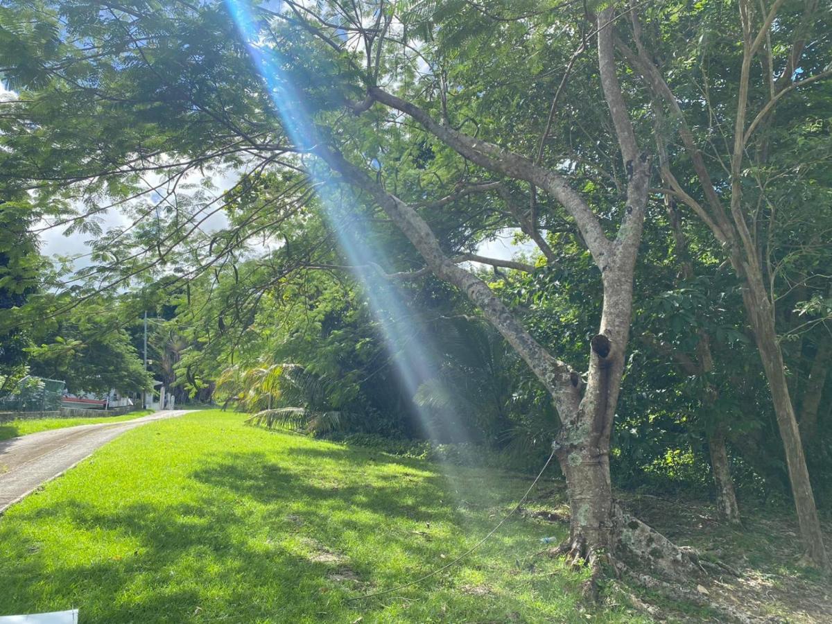 The Serene House Luquillo